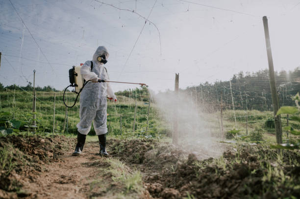Best Pest Prevention Services  in Wurtsboro, NY