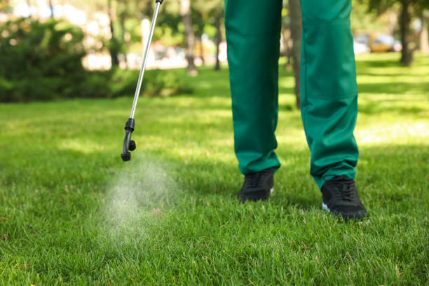 Trusted Wurtsboro, NY Pest Control Experts