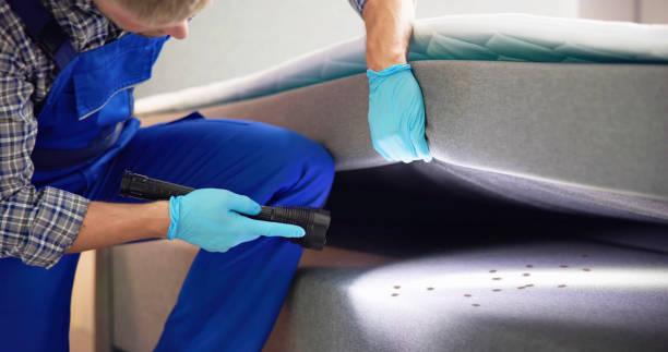Best Mosquito Control Services  in Wurtsboro, NY
